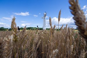 „Auga Group“ stabdo kooperatyvo Mažeikiuose veiklą, atleidžia darbuotojus