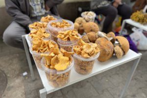 Dėl nesibaigiančio grybų derliaus džiaugtis neskuba: viena problema gerokai koreguoja kainas rinkoje