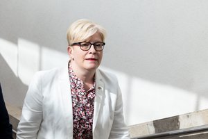 I. Šimonytės neįtikino prezidento paaiškinimai, kodėl netiko G. Landsbergis: nežinau, ar tą galima vadinti argumentais