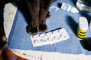 Bijo ir pagalvoti, kaip galėjo pasibaigti tokia situacija: vaistinėje išgirsti žodžiai Vytautui buvo tarsi perkūnas iš giedro dangaus