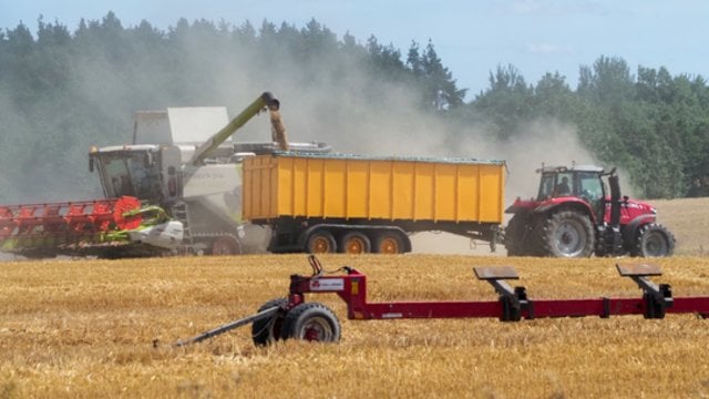 Grūdų kainoms pramušus dugną – galvos skausmas ūkininkams: dalis gali neturėti, ką skaičiuoti