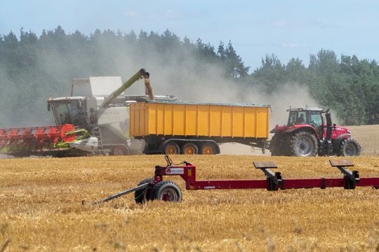 Grūdų kainoms pramušus dugną – galvos skausmas ūkininkams: dalis gali neturėti, ką skaičiuoti