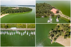 Iš mokslininkės – svarbus įspėjimas: situacija dėl vandens „žydėjimo“ tik blogėja