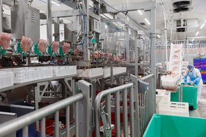 Lietuva ruošiasi eksportuoti vištieną į JAV