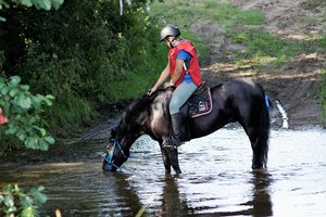 Valkininkuose savaitgalį vyko įspūdingos žirgų ištvermės ir kinkinių varžybos