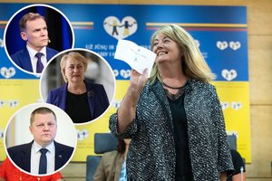 „Labai sukta politinė jėga“: dėl manevro su V. Blinkevičiūte politikai skaudžiai įgėlė socialdemokratams