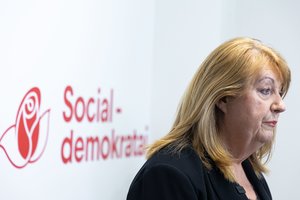 Kur pradingo V. Blinkevičiūtė? Po dviprasmiško pareiškimo – visiška tyla