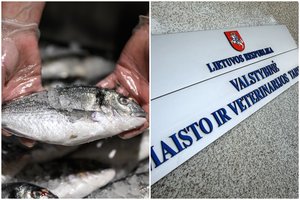 Po tokio „sutikimo“ žuvies perdirbimo įmonėje VMVT pareigūnai liko suglumę: „Jei neturi ko slėpti – turi būti ramus, kai esi vertinamas“