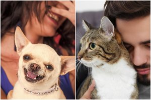 Kas turi daugiau šansų užmegzti sėkmingas pažintis ir santykius – „šunininkai“ ar „katininkai“?