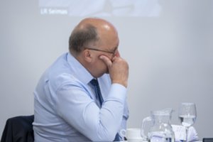 V. Čmilytė-Nielsen mano, kad Seime pakaks palaikymo A. Kubiliaus kandidatūrai į EK