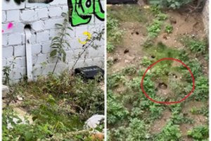 Net nupurto pamačius, kas darosi po vilniečių langais: „Kas matė, liko šokiruoti“