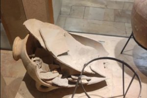 Apsilankymo muziejuje metu keturmetis sudaužė istorinį artefaktą