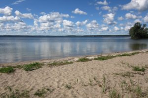 Specialistai įspėja – keliuose Kėdainių rajono vandens telkiniuose užfiksuota normą viršijanti tarša