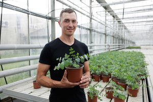 Didžiausio Lietuvos gėlininkystės ūkio vadovas: kokias gėles žmonės išsineša glėbiais ir kokį klausimą girdi nuolat