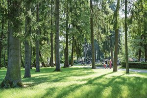 Romainių kapinėse – neregėta naujovė, susidaro įspūdis, kad ruošiamas sklypas gyvenamųjų namų statybai