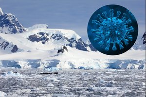 Ar verta sunerimti? Tirpstančiame ledyne aptiko virš tūkstančio nežinomų virusų