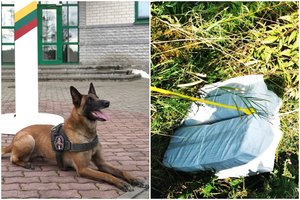 Į pasieniečių pasalą pateko balionais atskraidintą kontrabandą rinkęs šalčininkietis