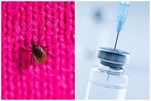 Nauja tvarka: šios amžiaus grupės asmenys nuo erkinio encefalito galės skiepytis nemokamai