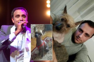 Dingo mylimas atlikėjo Radžio šuo Baris: prašo pagalbos