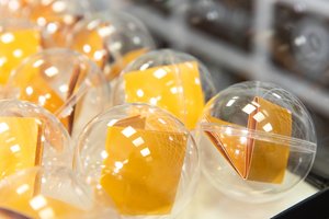 Ištraukti LFF taurės pusfinalio etapo burtai