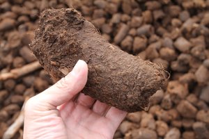 Kupiškio r. buvo padegtas durpynas, įtariamieji kol kas laisvėje