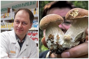 Vaistininkas iš Žemaitijos pataria grybautojams: neišmeskite grybų nuoviro, štai kam jis naudingas