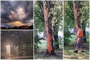 Žaibai praėjusią naktį trankėsi kaip reikiant: vienas iš jų smogė į medį