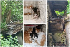 Vikrių parkūro meistrų gaudynes stogais vainikavo sėkmė: prašo padėti išgelbėtiems nuo baisaus likimo