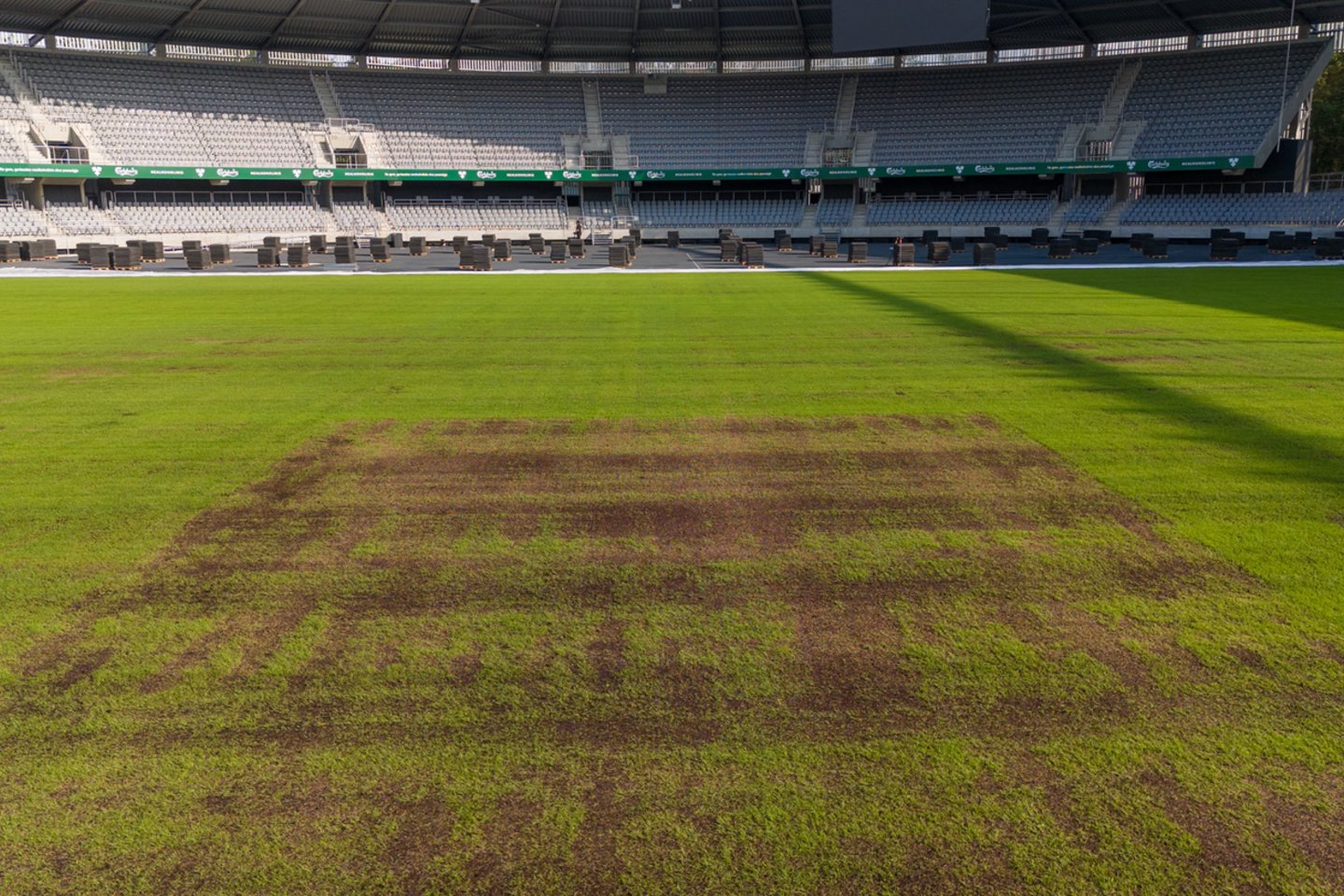 Gelbėta Kauno Dariaus ir Girėno stadiono veja.<br>Kas vyksta Kaune nuotr.