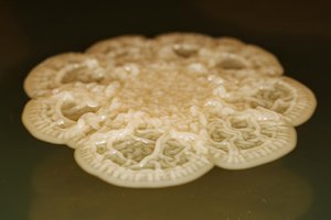 Mokslininkai: mūsų burnoje gyvenančios bakterijos dauginasi retu ir keistu būdu