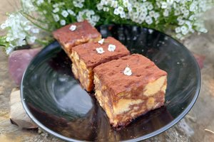 Tinginys su šakočiu – sužavės labiau nei galite įsivaizduoti