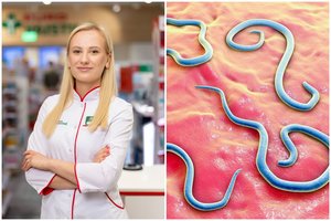 Įspėja: reguliariai tikrintis reikia ne tik kraują – nekviestus organizmo svečius parodys vienas tyrimas