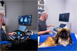 Rūpinkitės augintinio širdimi: Vilniuje esanti veterinarijos klinika „Begemotas“ kviečia pasinaudoti specialiu pasiūlymu tik rugsėjo mėnesį