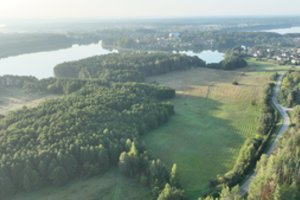 Ypatinga Veisiejų pelkė: čia slepiasi ir retos rūšys