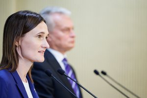 Prezidentas ir Seimo pirmininkė skeptiški dėl mokesčių reformos įgyvendinimo dar šioje kadencijoje: dabar „nebėra laikas“