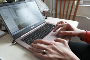 Seimo teisininkai įvertino siūlymą įteisinti internetinį balsavimą referendumuose: įžvelgia galimą Konstitucijos pažeidimą