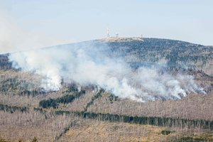 Vokietijos kalnuose kovojama su dideliu miško gaisru: dirba šimtai ugniagesių