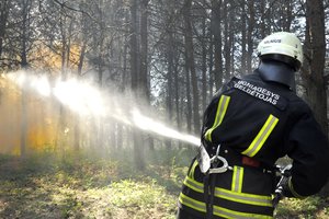 Vilniaus rajone, pasienyje su Baltarusija, degė didelis miško paklotės plotas