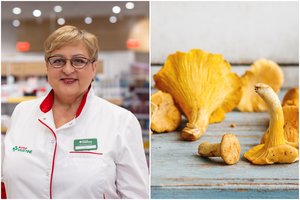 Įspėjo dėl apsinuodijimo grybais požymių: būtina skubėti į ligoninę