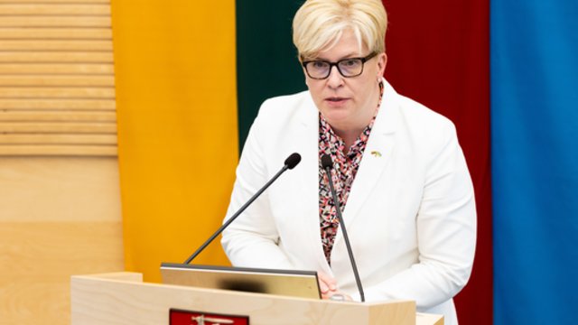 I. Šimonytė: regis V. Blinkevičiūtė rinkimuose nusprendė būti R. Karbauskiu