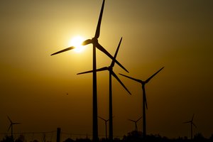 Elektra per savaitę pigo 20 proc. – paaiškino, kas nutiko: