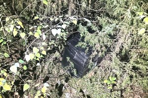 Pasieniečiai su įkalčiais sučiupo cigarečių kontrabandininką ir jo talkininką