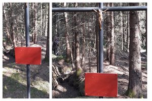 Jurbarko rajono Globių miške išniekinti paminklai partizanams