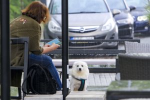 Oras išlieka užterštas: pagerėjimas stebimas tik vienoje Lietuvos dalyje