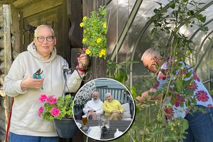 Iš viešumos dingusi A. Maldeikienė atvėrė sodybos duris ir atskleidė, kuo ten užsiima: „Senatvėje labai mažai reikia“