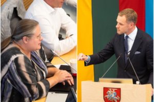 Opozicijos G. Landsbergio atsakymai apie vilą Graikijoje – neįtikino: A. Širinskienė ruošia kreipimąsi į prokuratūrą