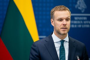 G. Landsbergis kritikuoja ES politikų siūlymą didinti tarifus kiniškiems elektromobiliams: ši industrija Europoje išnyktų