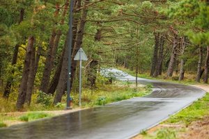 Kuršių nerijoje atidarytas naujasis Smiltynė–Nida pėsčiųjų ir dviračių takas
