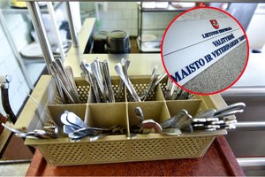 VMVT inspektorius pribloškė valgyklos bejausmiškumas: iš globotiniams skirtų maisto produktų – kibinai administracijai