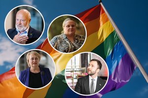 Kaip karšta bulvė: kelia versijas, kas laukia bene daugiausiai aistrų keliančio įstatymo